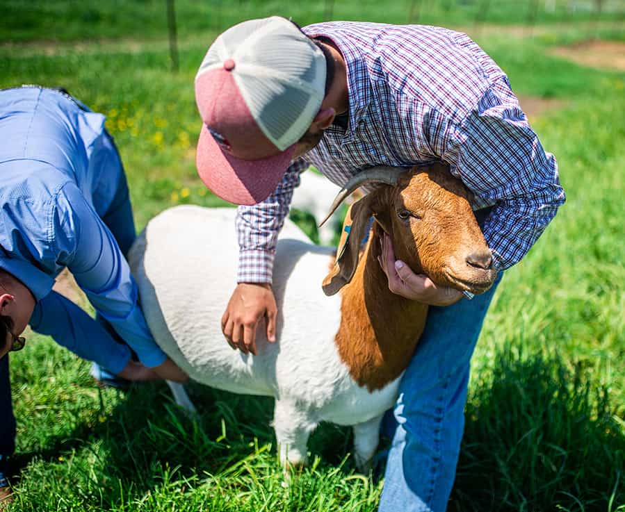 agriculture students with goat