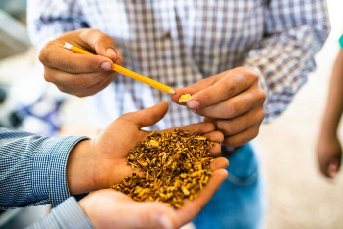 Agricultural Sciences (BS) | East Texas A&M University, ETAMU