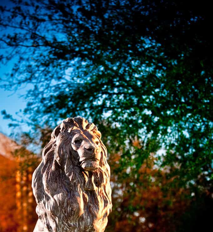 A lion statue at A&M-Commerce