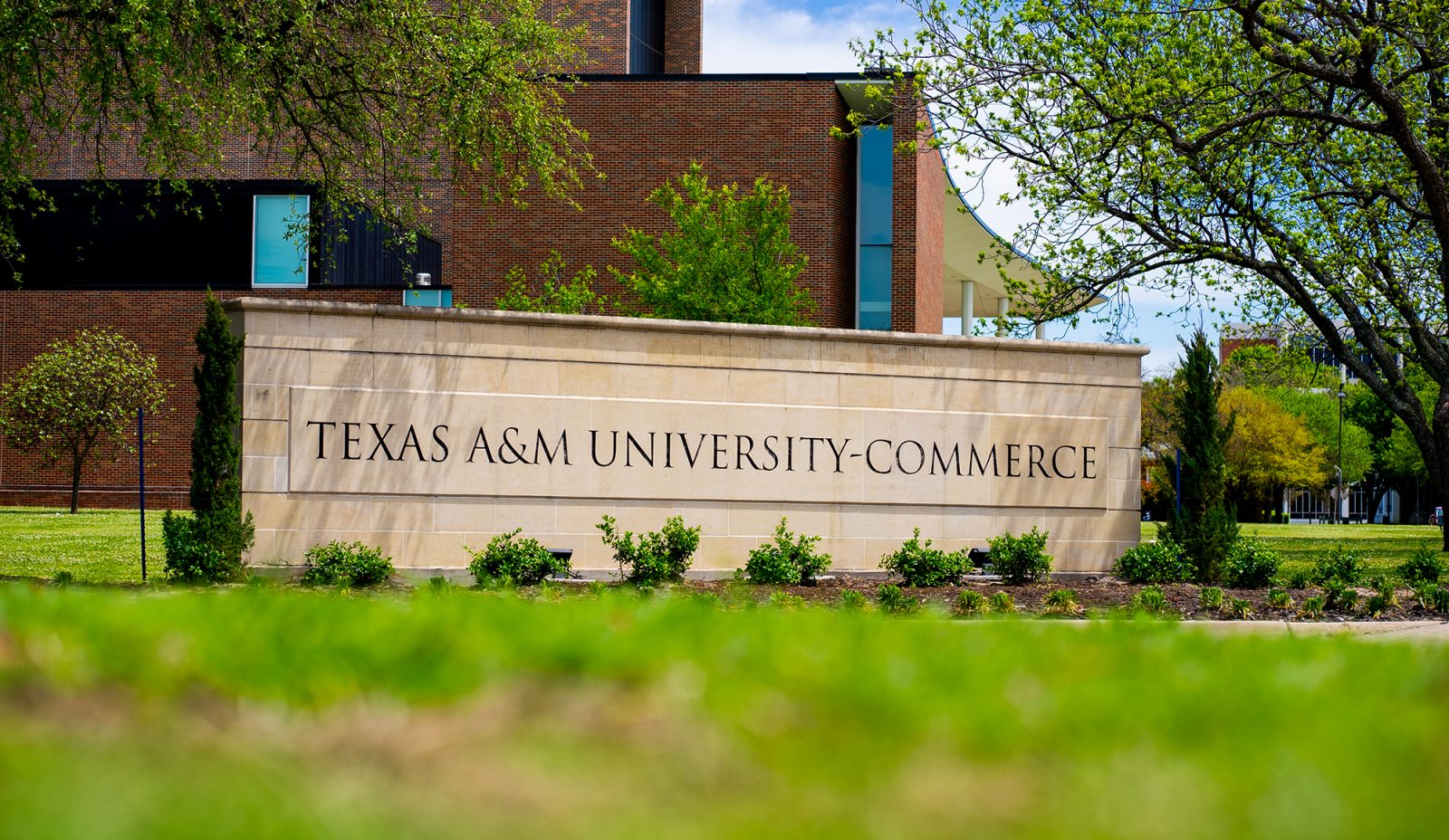 University Name East Texas A M University ETAMU university-name-east-texas-a-m-university-etamu