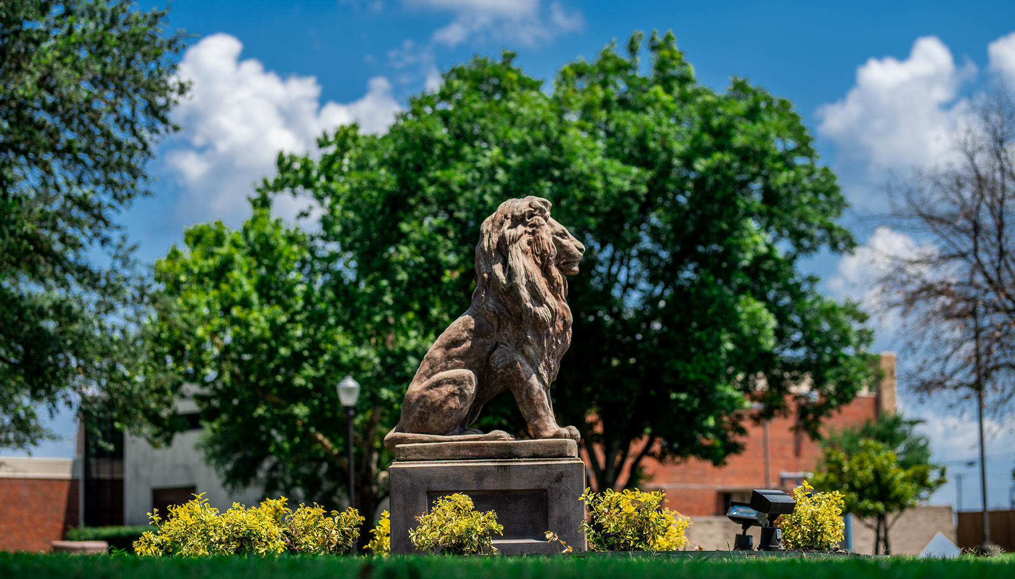 ETAMU lion statue