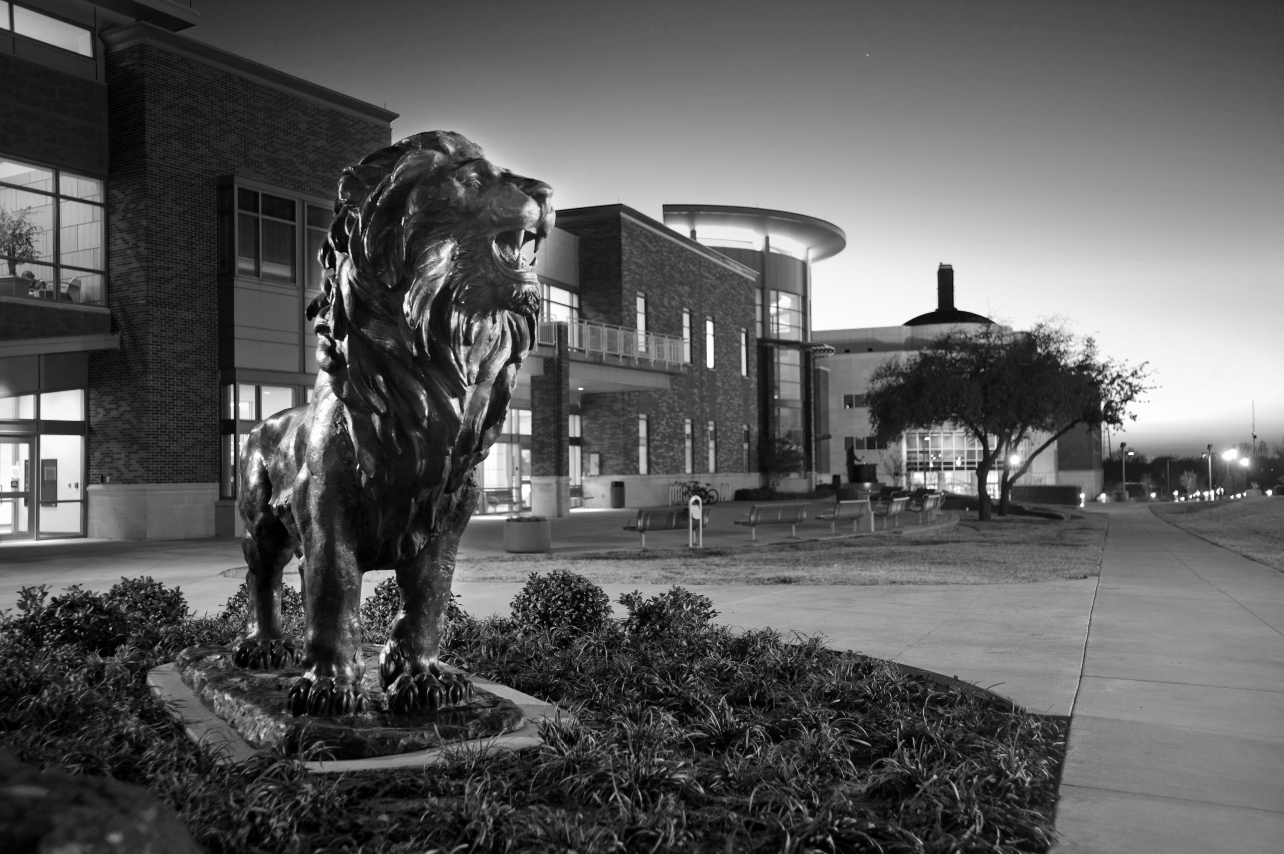 In black and white a lion statue in front of a bricked building. The focus is on the lion.