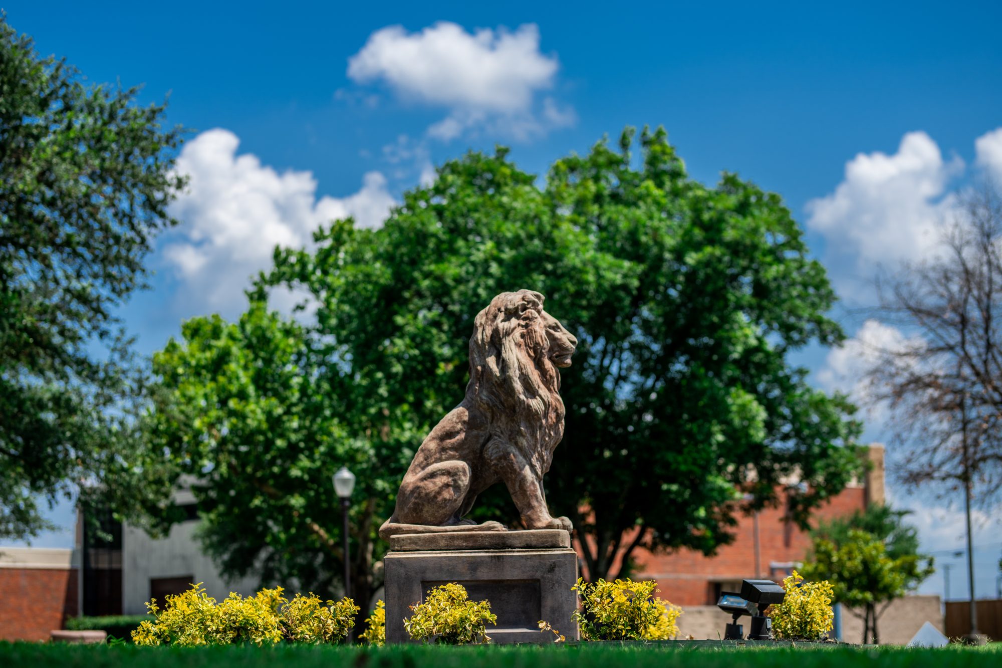 A lion statue facing to the right in front of a tree.