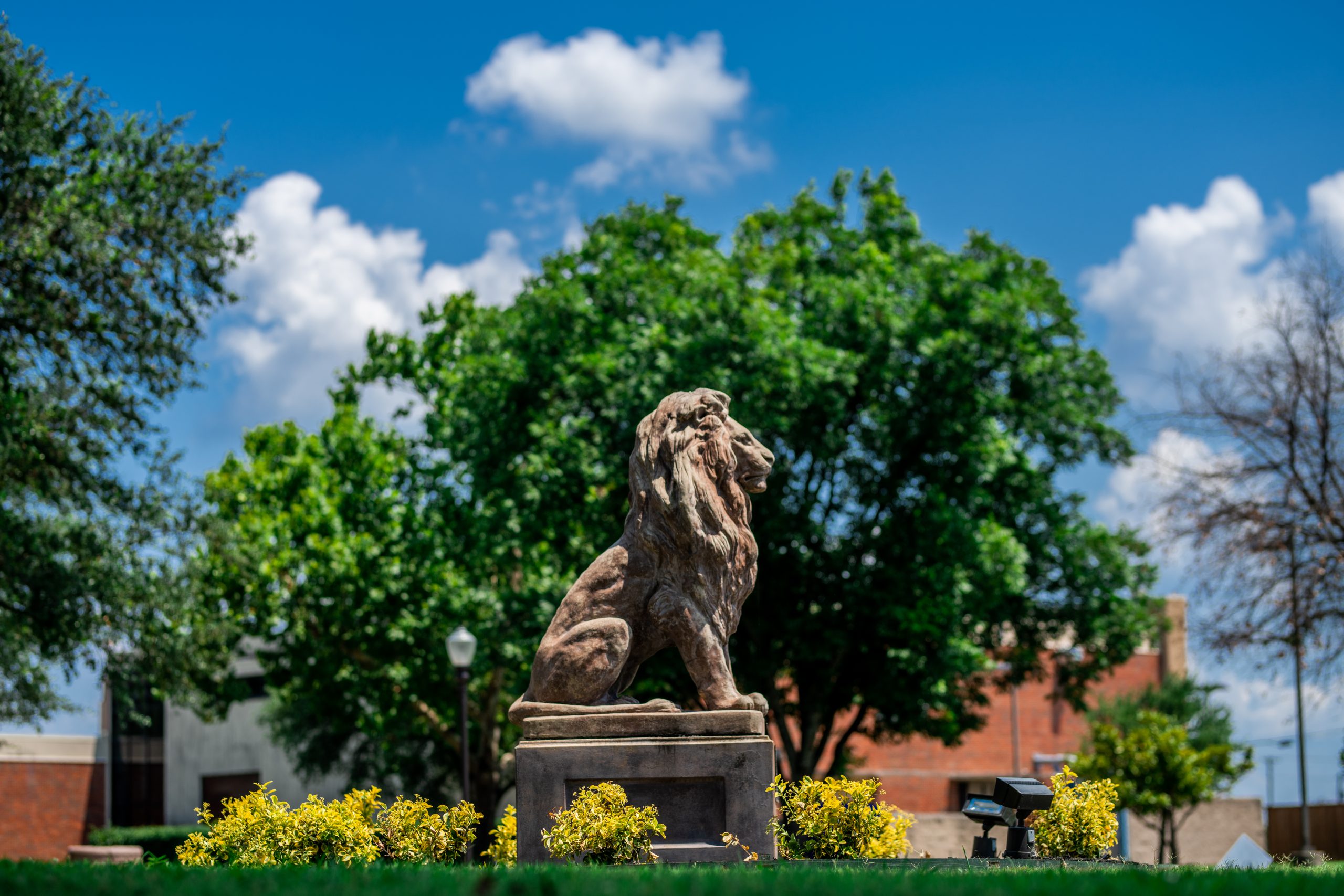 A lion statue facing to the right in front of a tree.