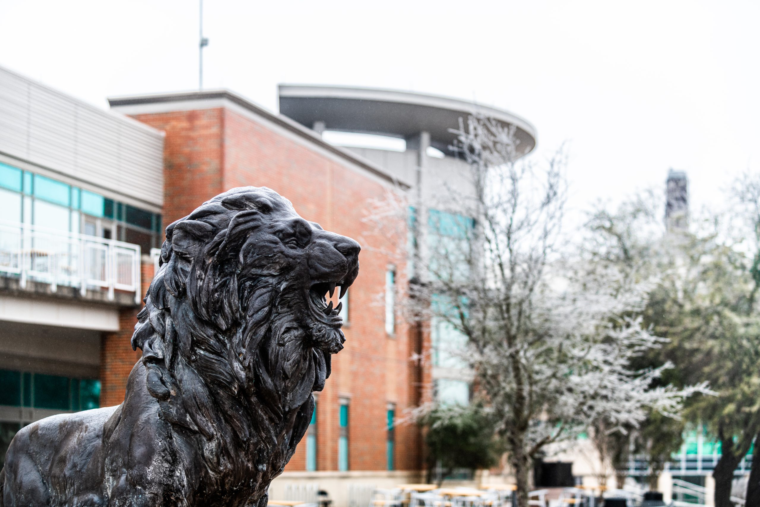 The front Rayburn Center with lion the statue.