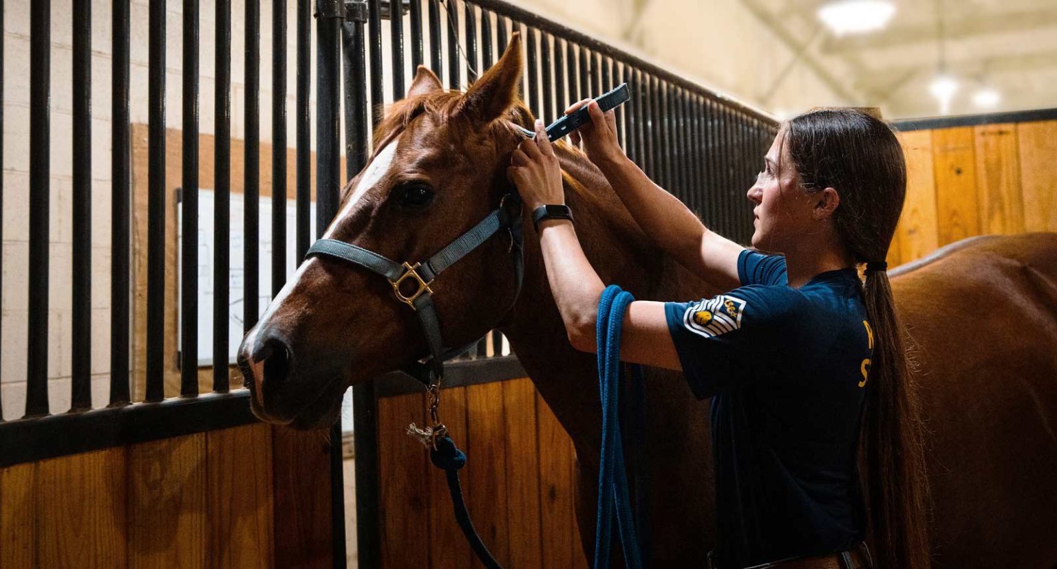 Equine Center | East Texas A&M University, ETAMU