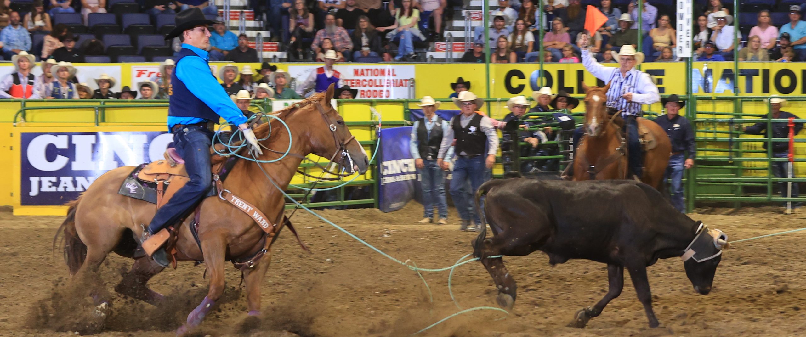 TAMUC’s Profili Captures Team Roping Championship at CNFR