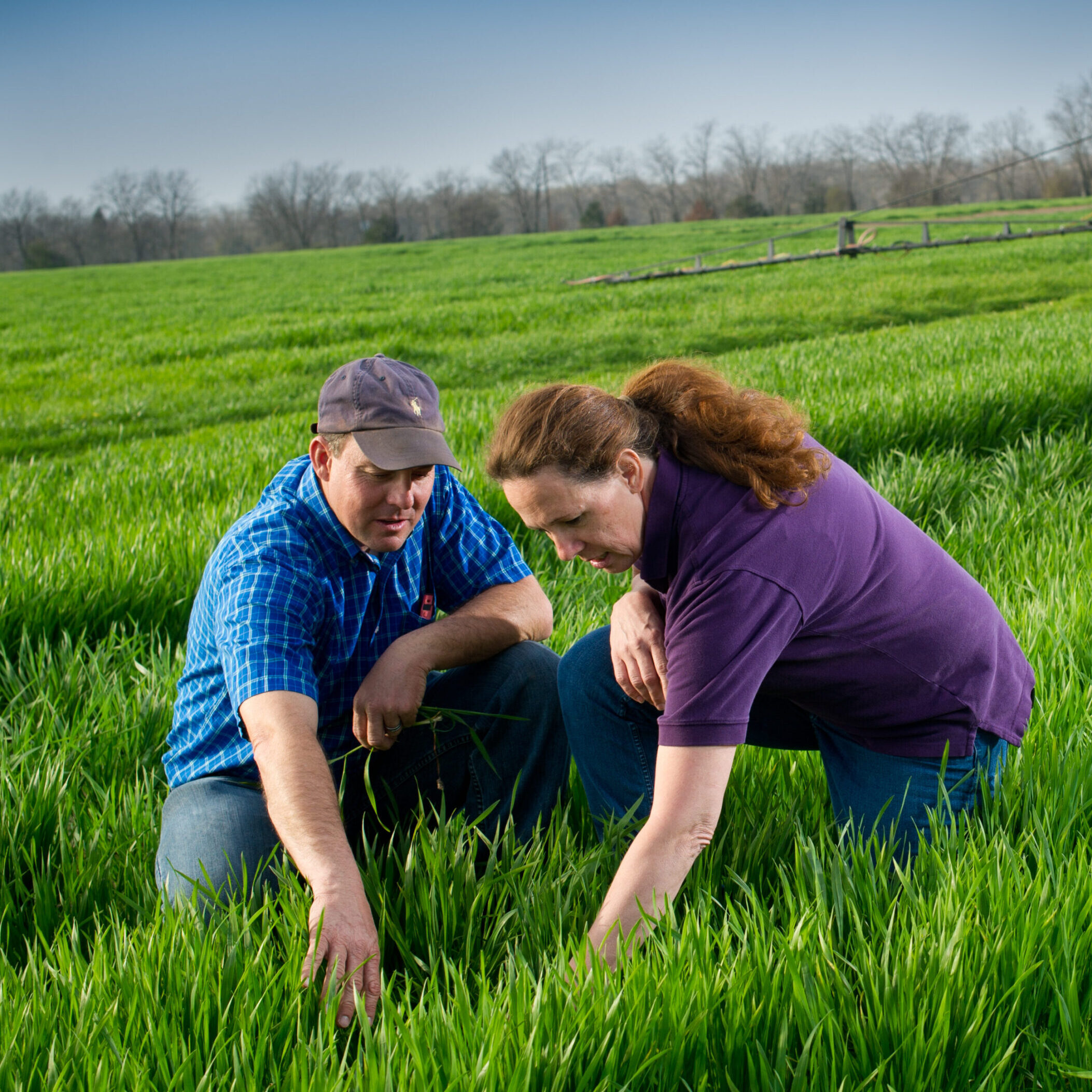 Man and woman looking at crops with tractor in the background