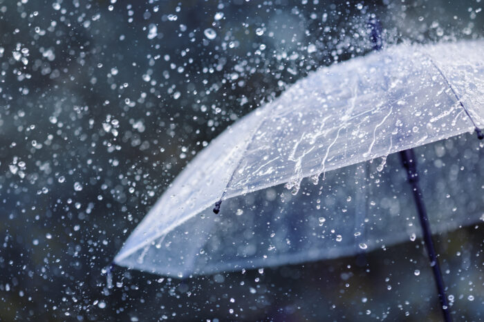 A transparent umbrella during a rain storm.