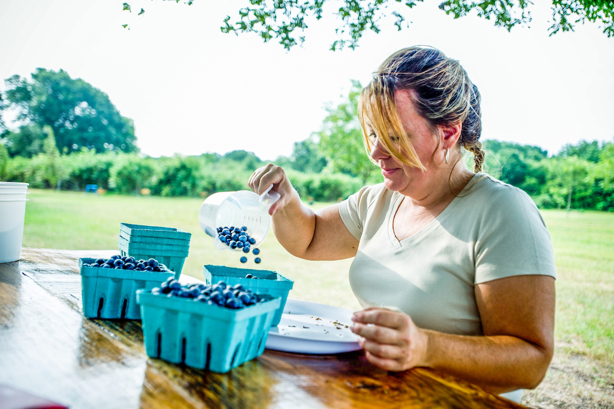 A woman sorting blueberries into containers.