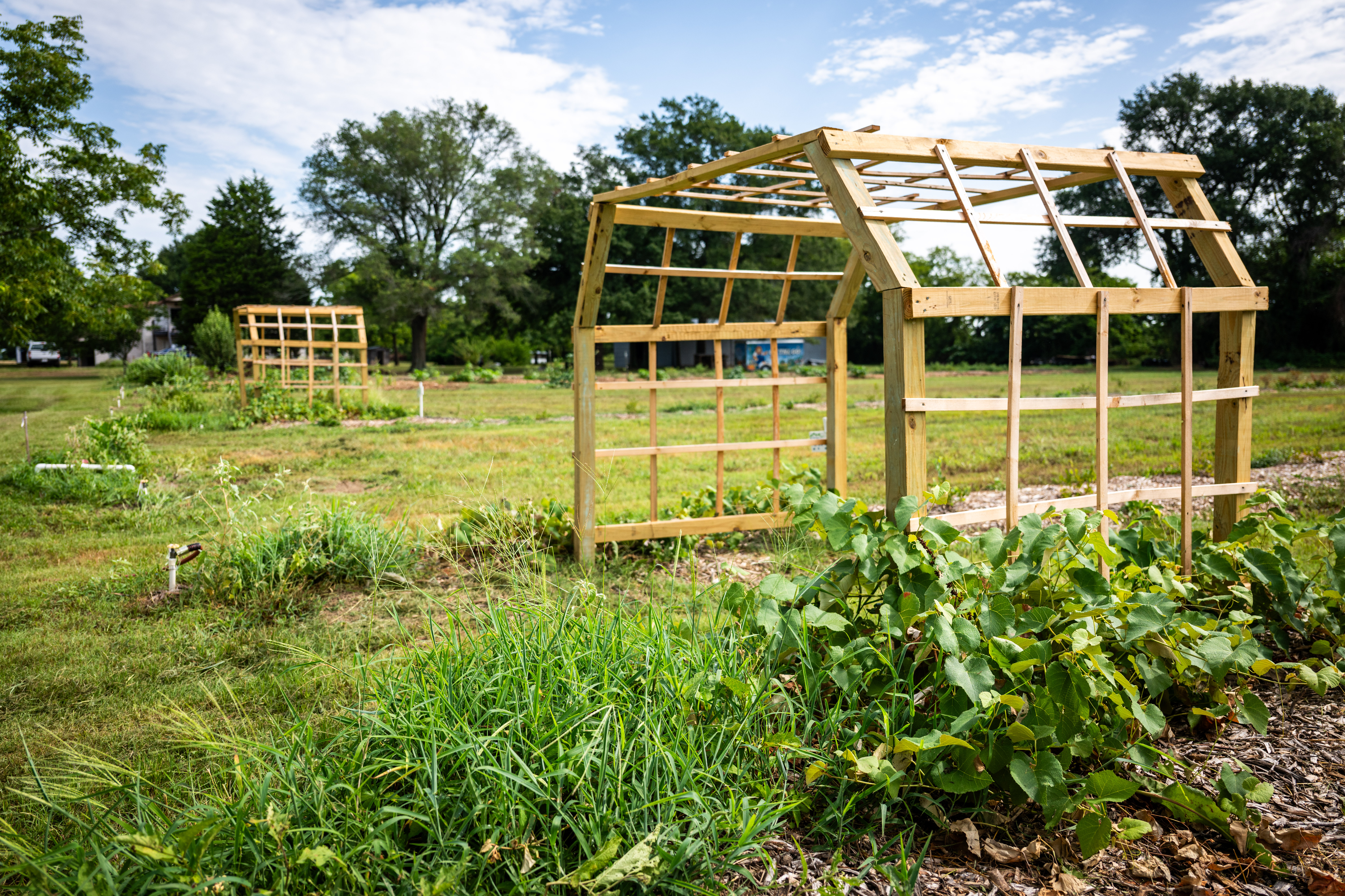 Two wood mounts for plants to grow on.
