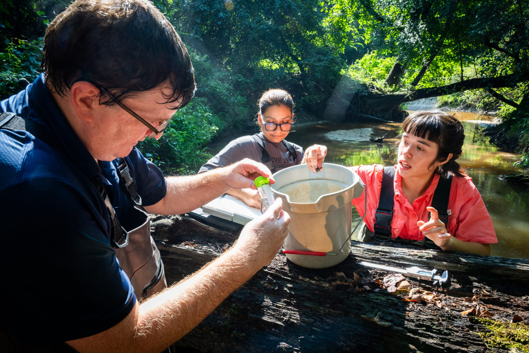 Two women and a man standing outside in a creek, studying the contents of a bucket.