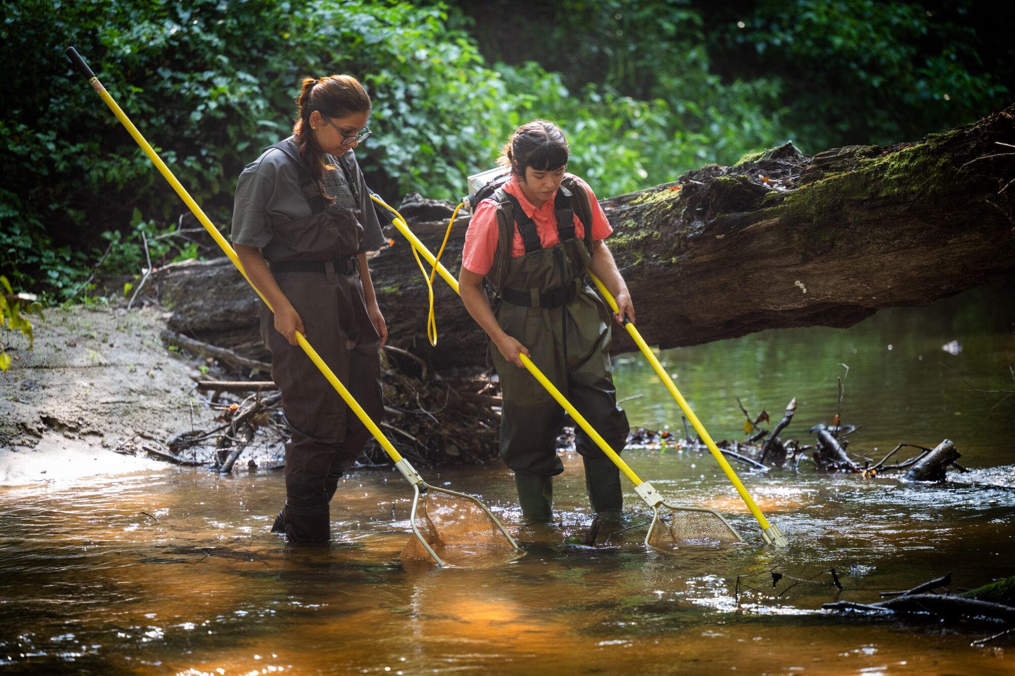 Two women walking through a creek carrying nets.