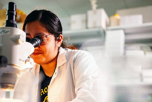 Female student using a microscope