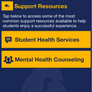 Screenshot of the support resources page in the Lion Safe app.
