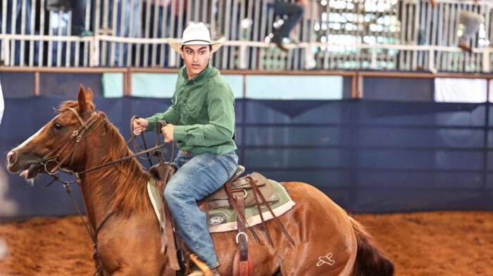 A rider and horse inside of an arena during a competition.