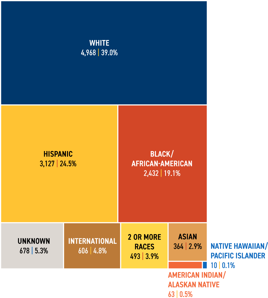 Treemap showing student enrollment by ethnicity in Fall 2024
