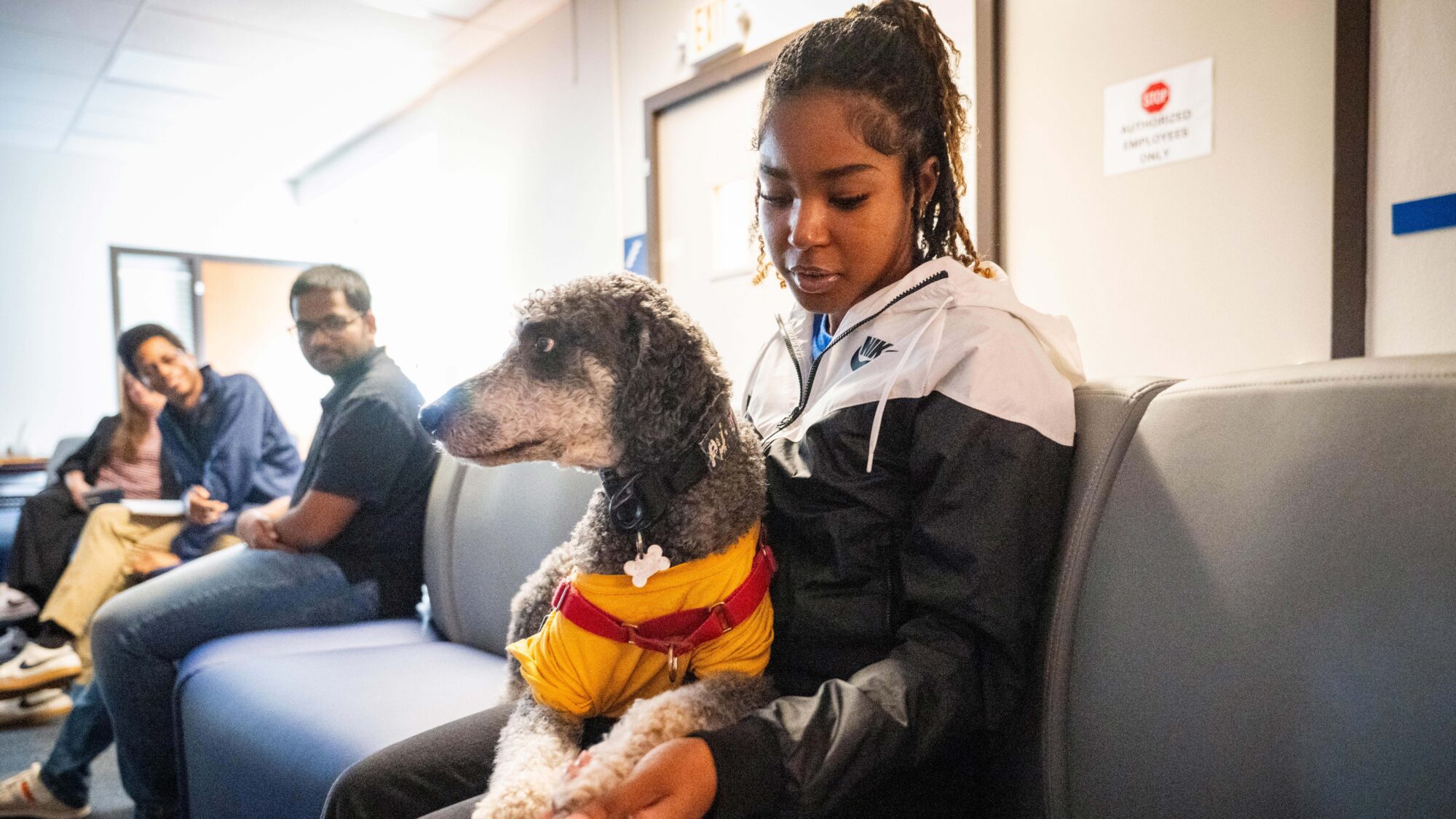 A dog sits on a person's lap. The person holds the dog's paw in her hand.