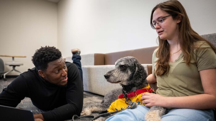 Person on the left lies on the floor and looks at the dog lying next to him. A laptop is also on the floor, and the person on the right is looking at the laptop.