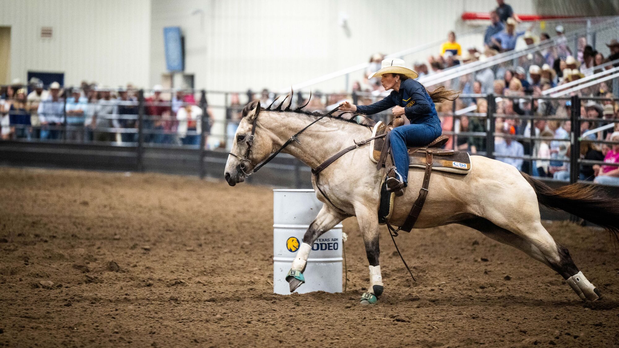 A light-colored horse runs around a white barrel in the barrel racing event. The cowgirl on the horse's back is hunched forward and holding onto the horse's reins. The horse's ears are back and his back legs are stretch out in a full gallop.