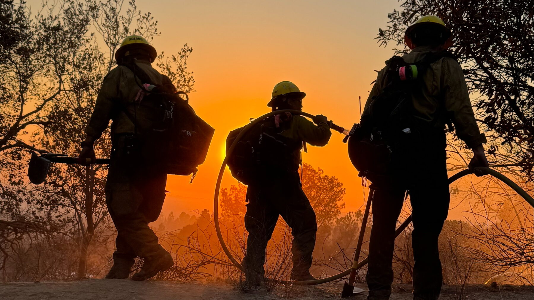 Three firefighters battling a wildfire in a forest.