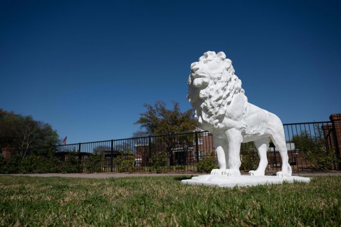 A white lion statue gleams against a blue sky background and green grass beneath.
