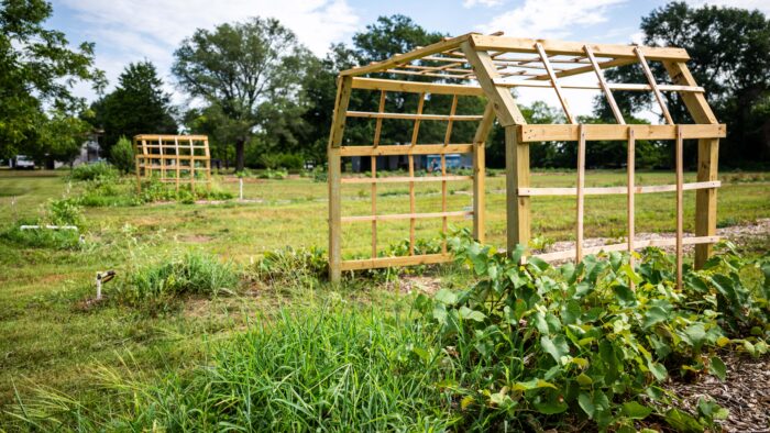 Landscape photo a farm with vegetation growing.
