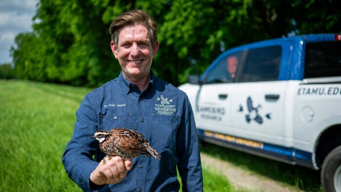 Man standing outside with a quail perched on his hand.