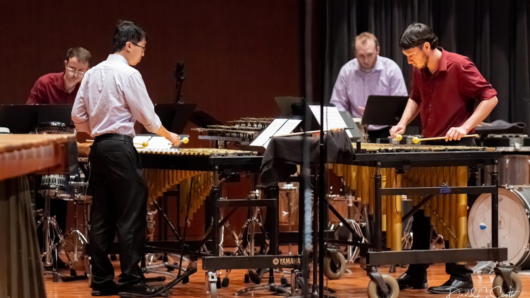 Four members of a percussion ensemble performing in a concert.